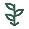 Raftee minimal fiber outline icon