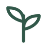 Raftee minimal seeds outline icon