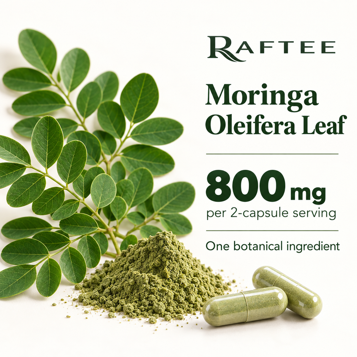 Raftee Moringa Oleifera gallery 3