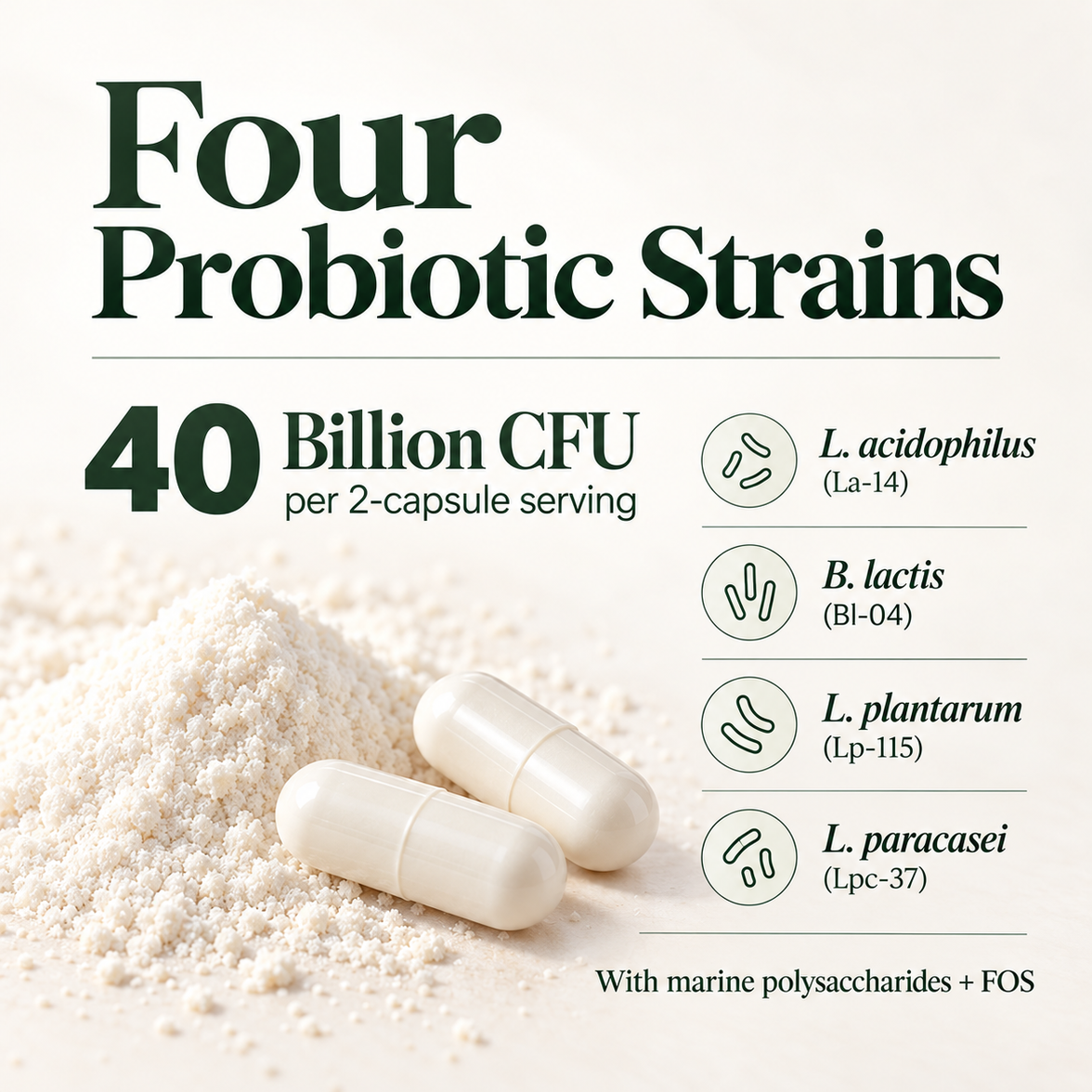 Raftee Probiotic 40 Billion gallery 3